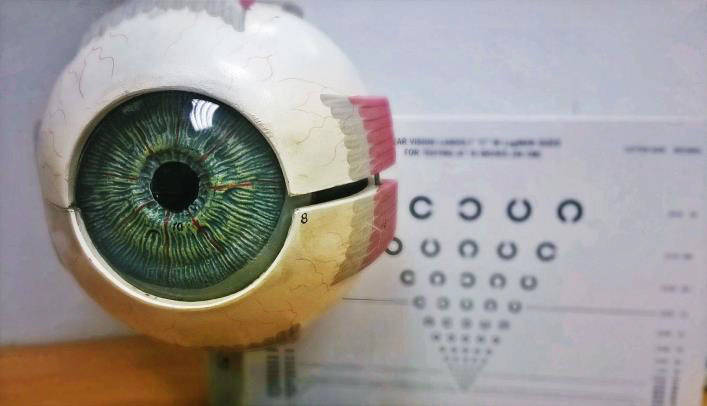 Bezmaksas redzes pārbaudes Latvijas Universitātes Optometrijas un redzes zinātnes nodaļā