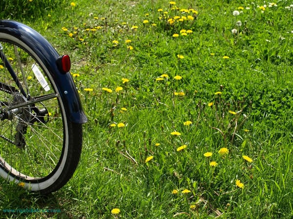 Velobrauciens Ogre - Sigulda